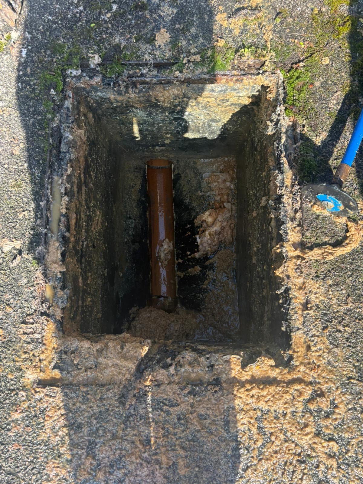 Drain chamber showing hidden waste build-up found during inspection