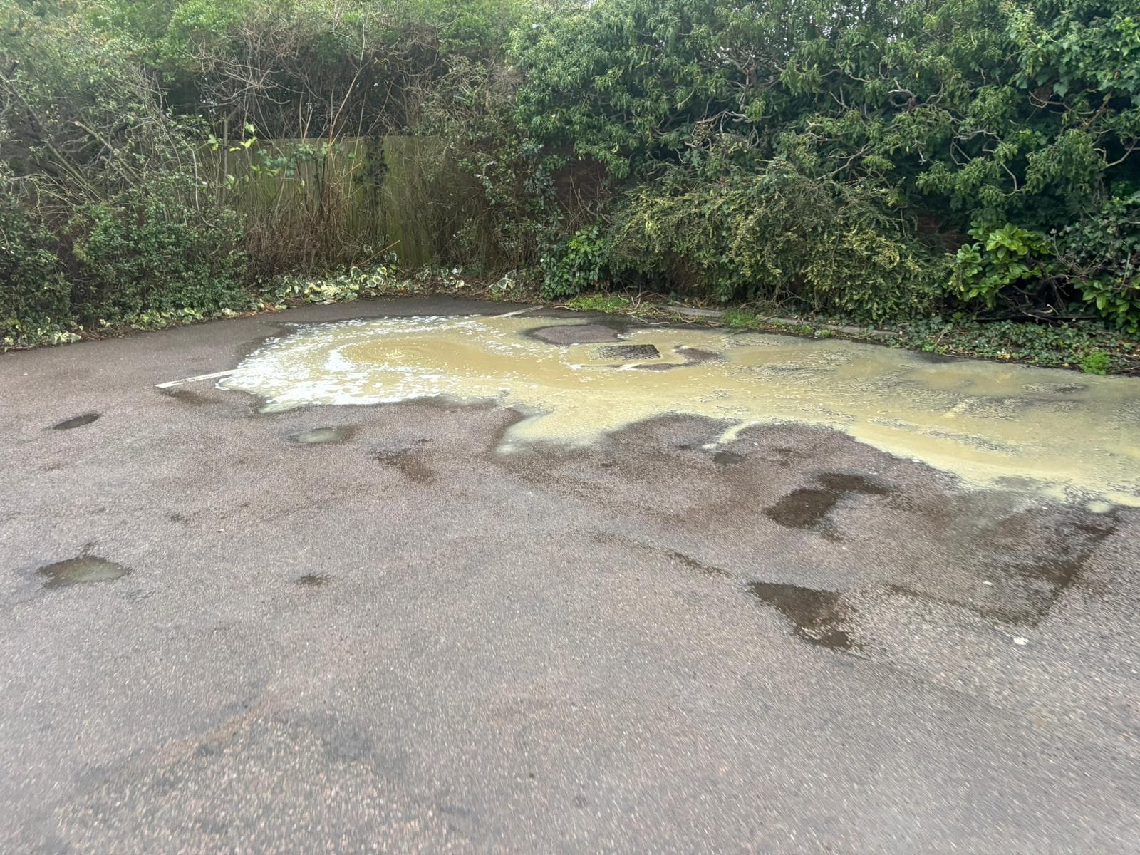 Mechanical Drain Descaling