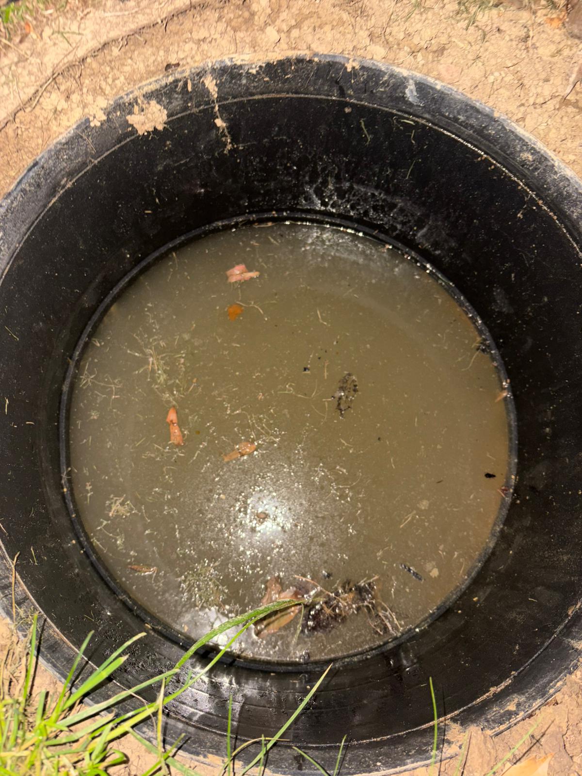 Interior of a septic tank being inspected for debris