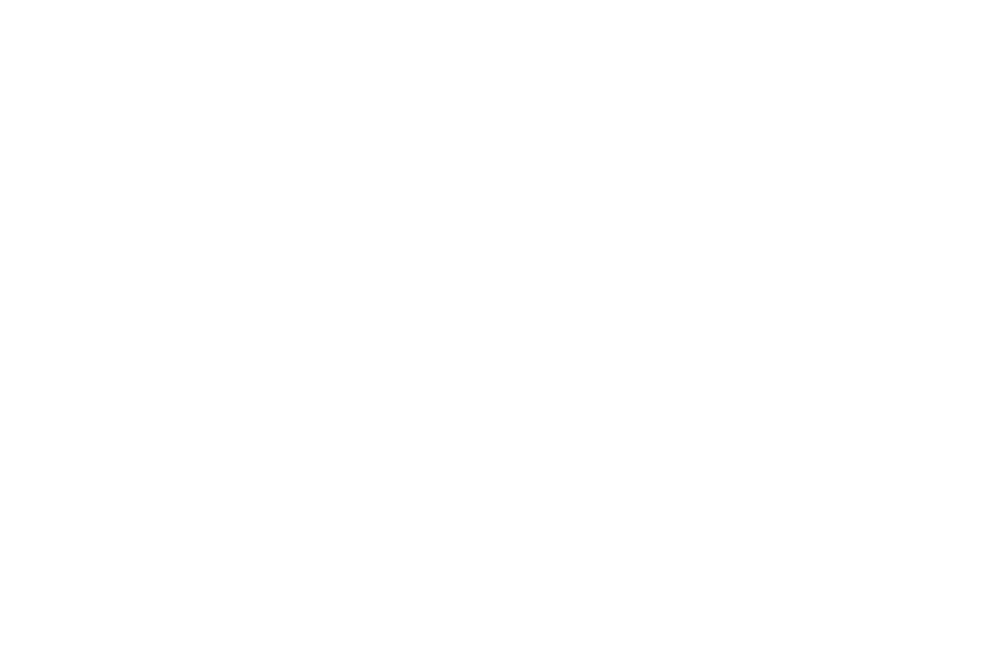 SSIP accredited